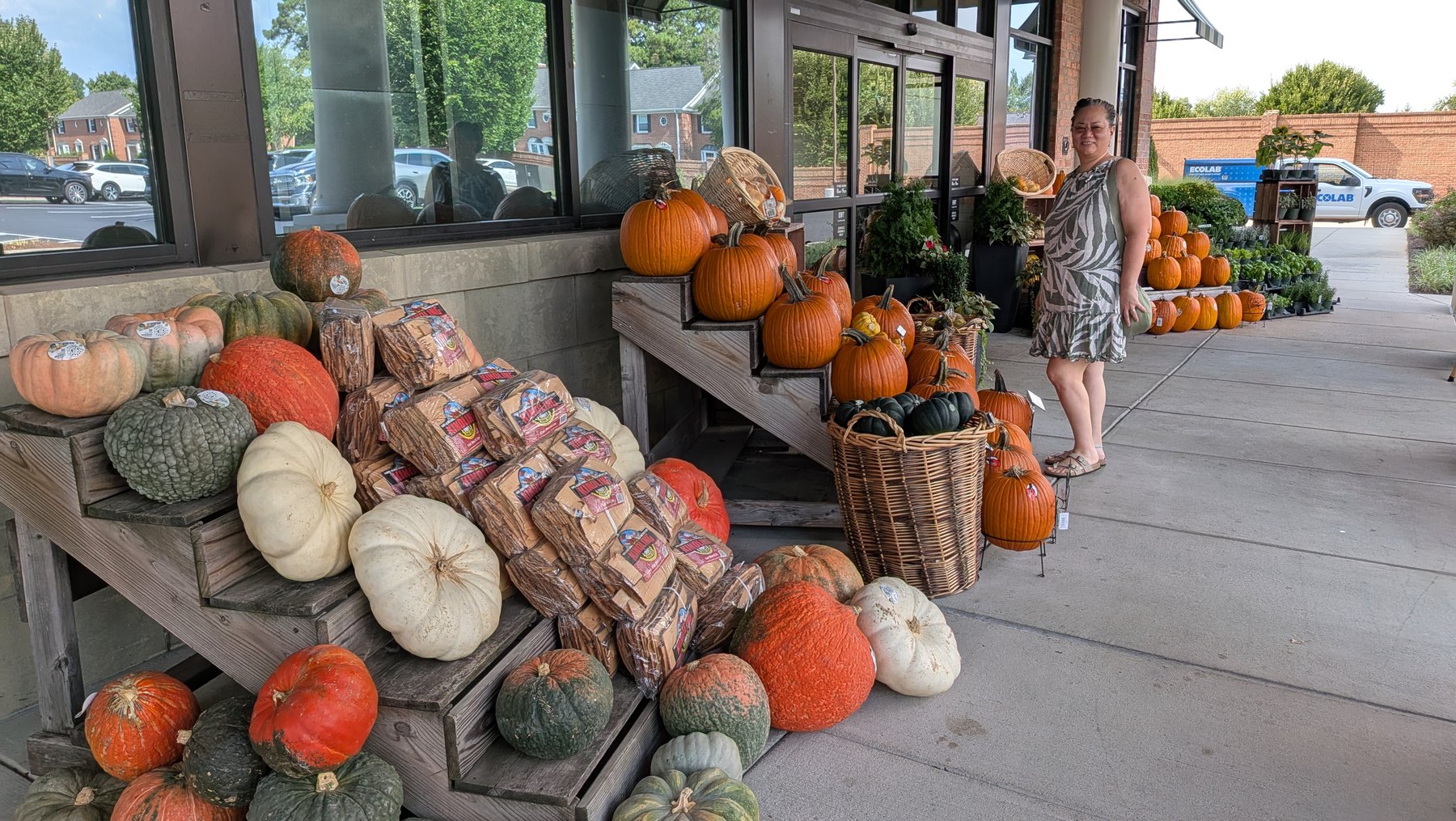 Colorful pumpkins and gourds displayed at a seasonal farm stand