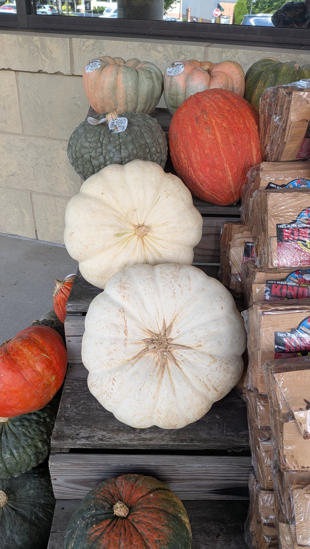 White pumpkins arranged at a fall market