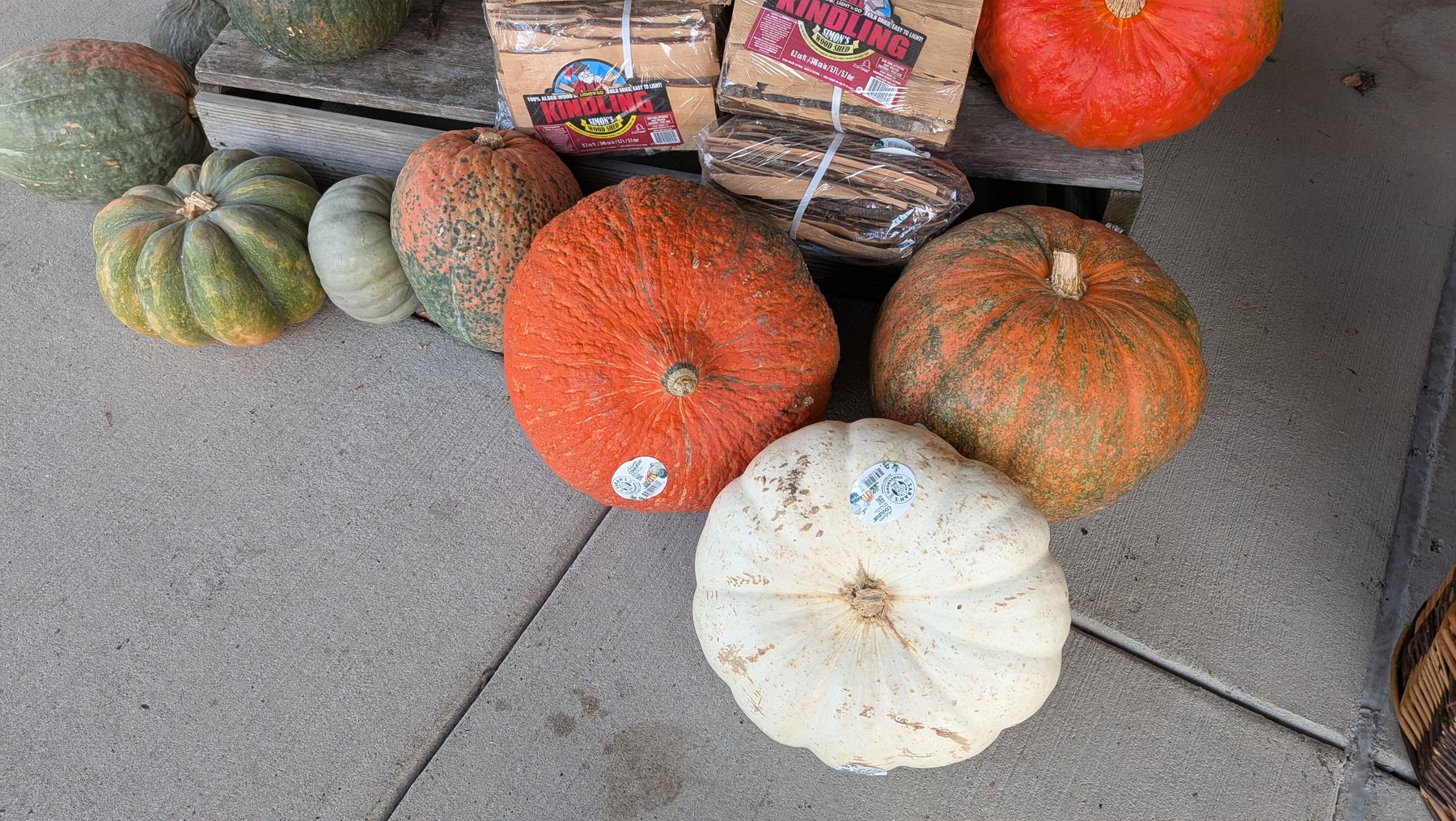 Colorful heirloom pumpkins in orange, green and white