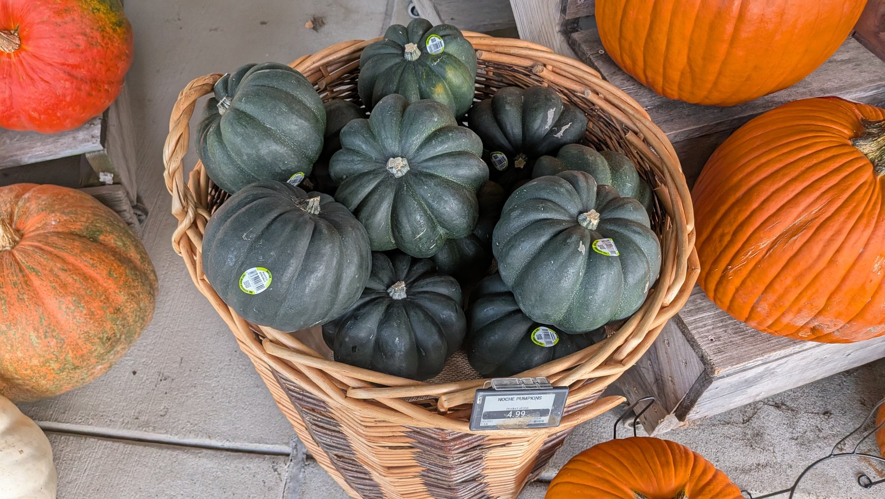 Dark green and orange pumpkins arranged in a basket
