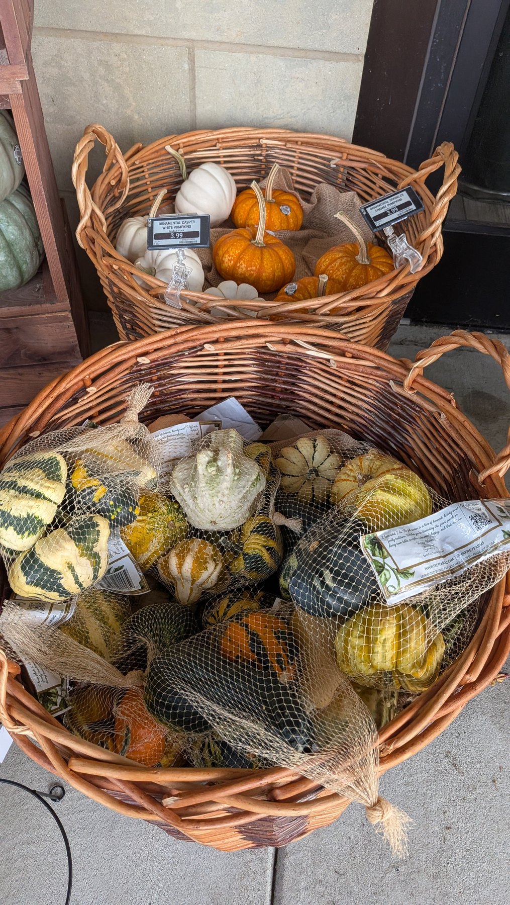 Baskets of miniature pumpkins and decorative gourds