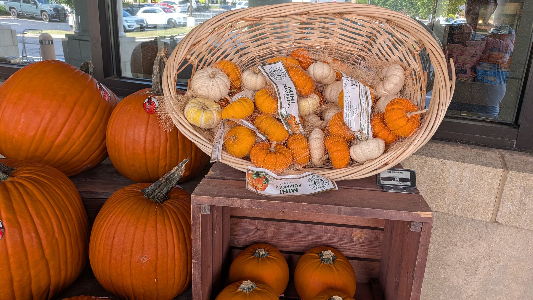 Orange pumpkins beside a basket of small pumpkins